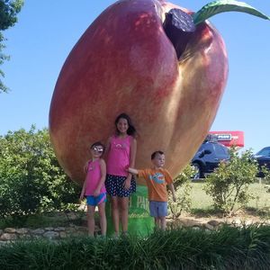 Meet your Posher, Leslie